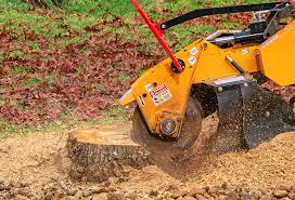 Best Aeration Services  in Rushford, MN